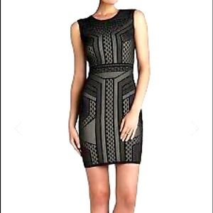 Bcbg Maxazria dress